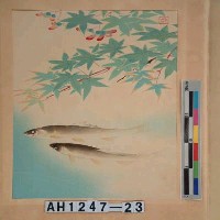 藏品(昭和11年『翠光花鳥版畫集』－楓若葉〔魚占〕)的圖片
